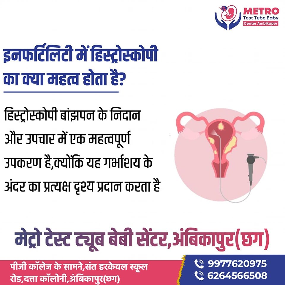 IVF Important Tips | Metro IVF Ambikapur
