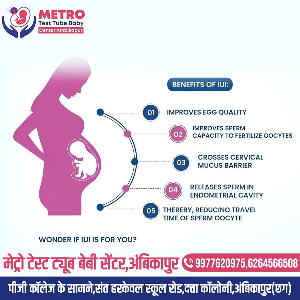 IVF Important Tips | Metro IVF Ambikapur
