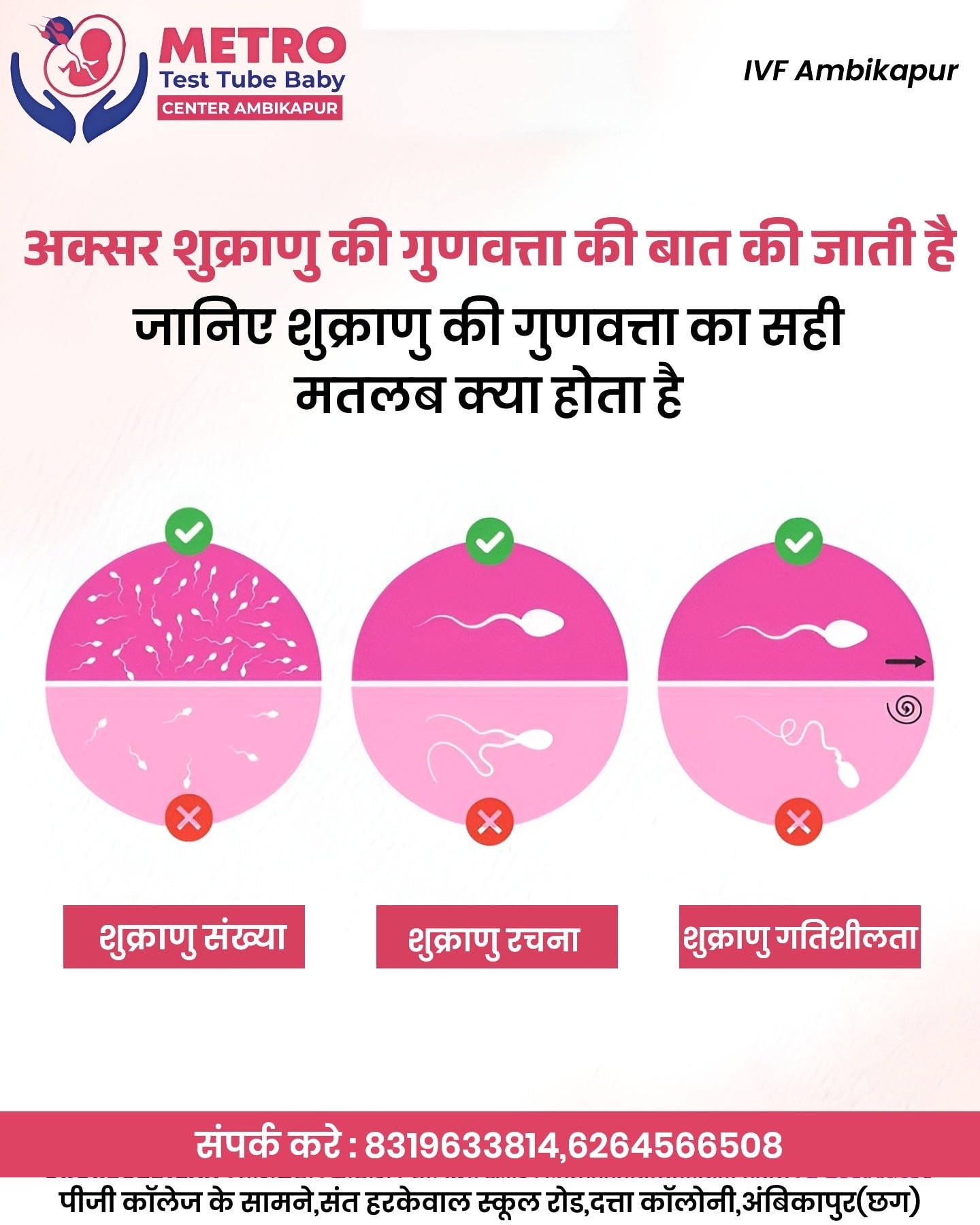 IVF Important Tips | Metro IVF Ambikapur